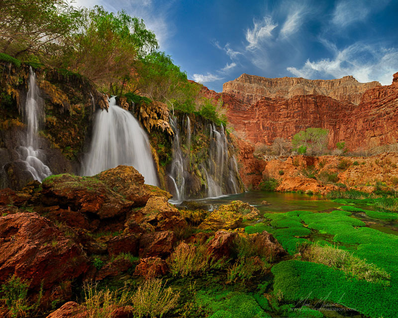 SM-4762 Marc Muench